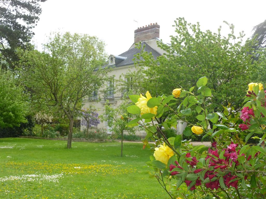 Saint-Branchs Cedre Et Charme Bed & Breakfast エクステリア 写真