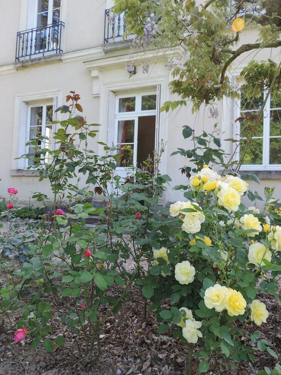Saint-Branchs Cedre Et Charme Bed & Breakfast エクステリア 写真