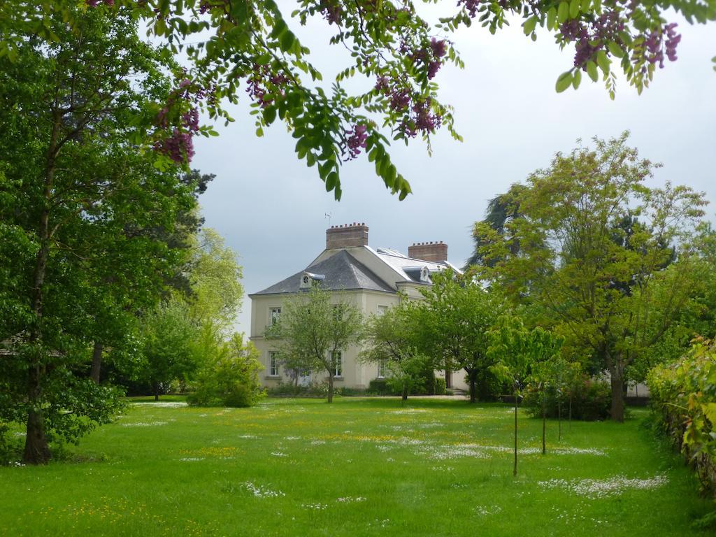 Saint-Branchs Cedre Et Charme Bed & Breakfast エクステリア 写真