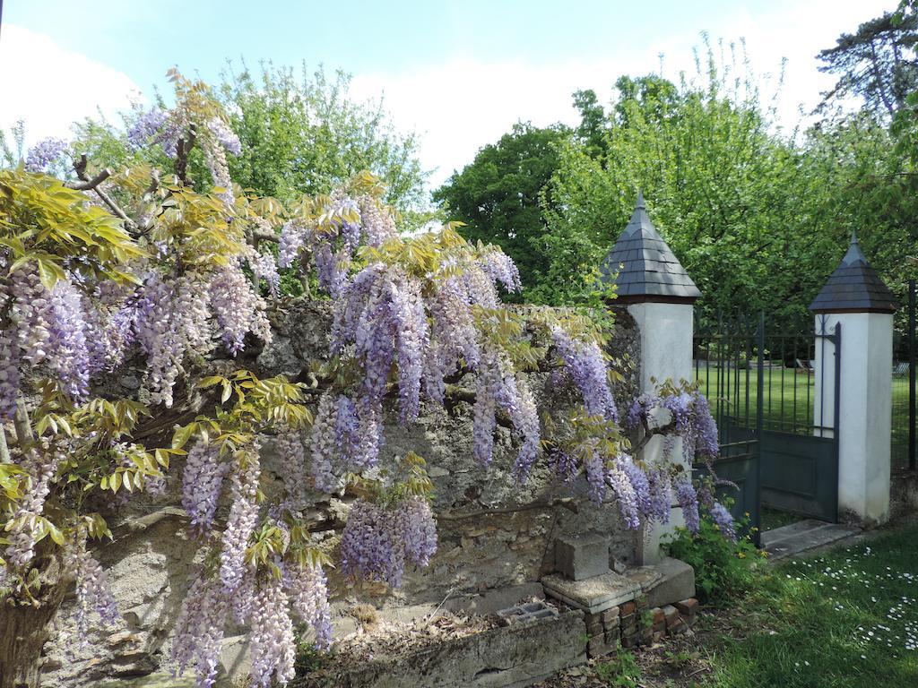 Saint-Branchs Cedre Et Charme Bed & Breakfast エクステリア 写真